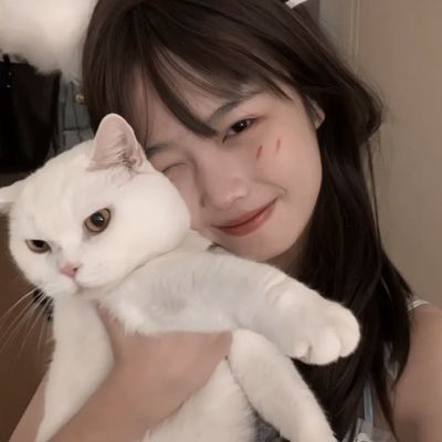 不可思议之梦蝶测试版下载